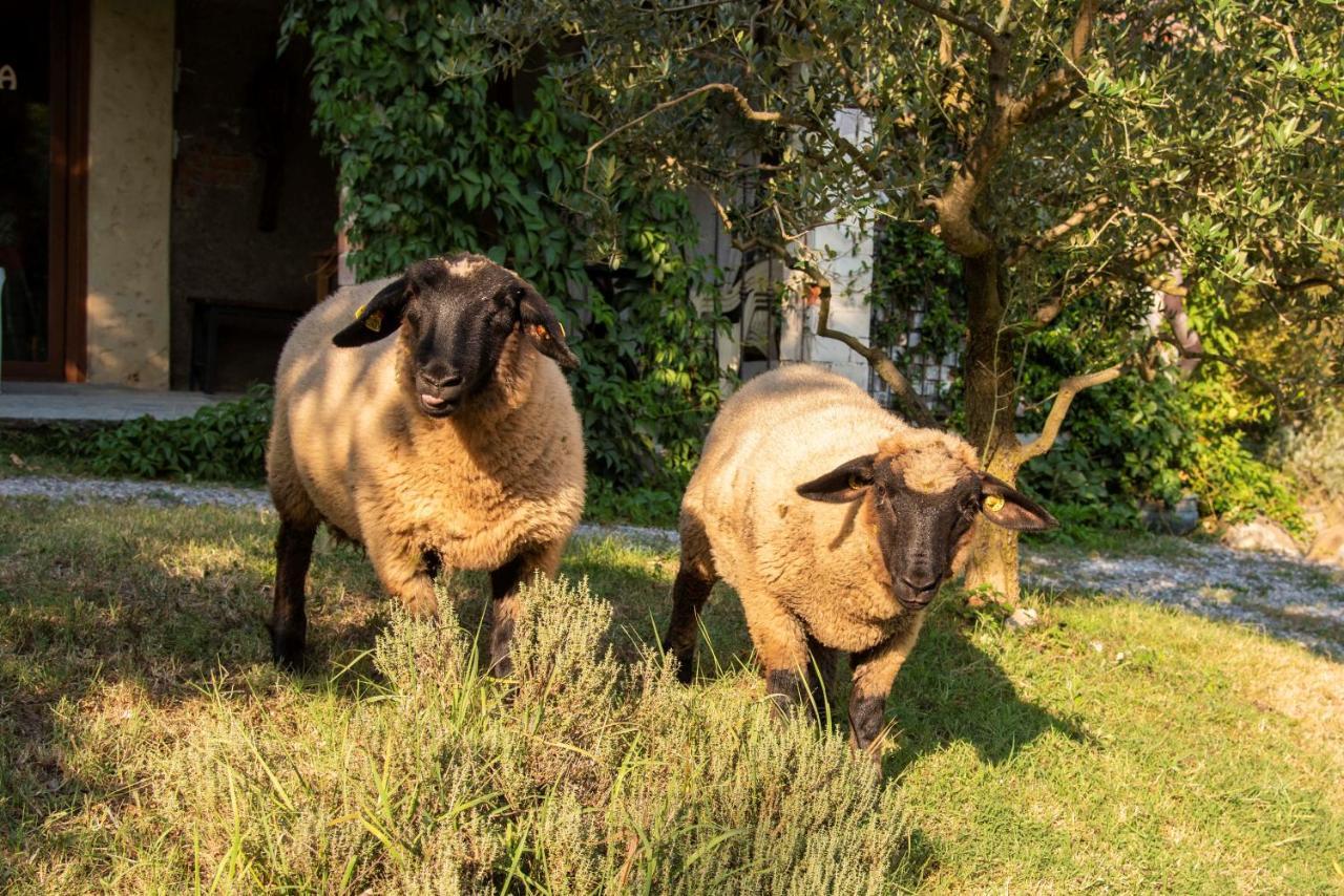 Agriturismo Cascina Costa Cassago Brianza エクステリア 写真