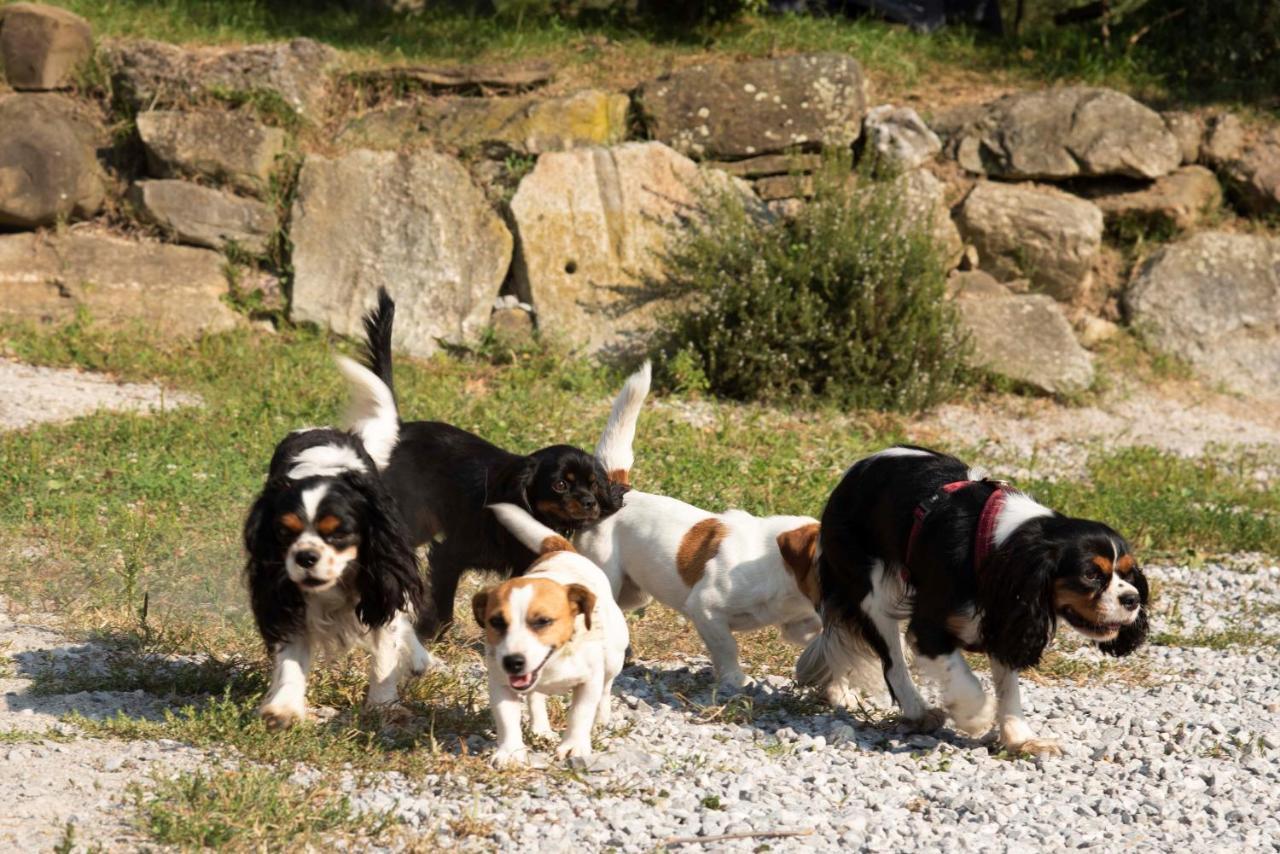 Agriturismo Cascina Costa Cassago Brianza エクステリア 写真